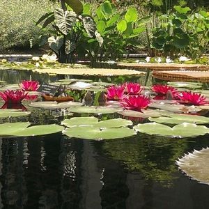 Meet your Posher, Karen